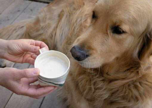 R?verie Handcrafted Ceramic Mug for Moments of Reflection and Tranquility - Image 2