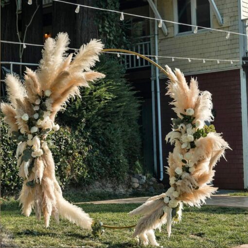 TALL PAMPAS GRASS 2-4ft | Elevate Your Home and Events with Boho Elegance - Image 3