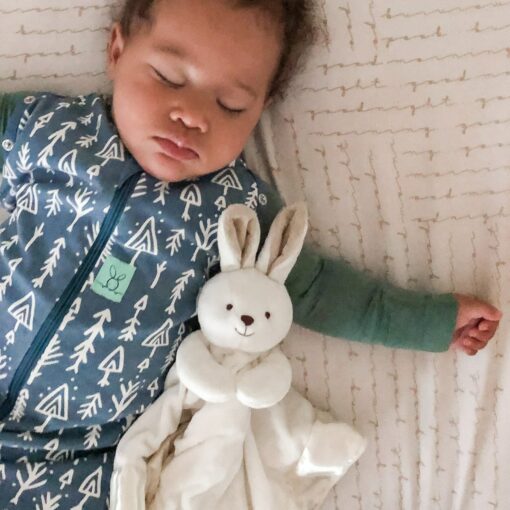 Snuggle-Worthy Bunny Lovey A Comforting Companion for Your Little One - Image 5