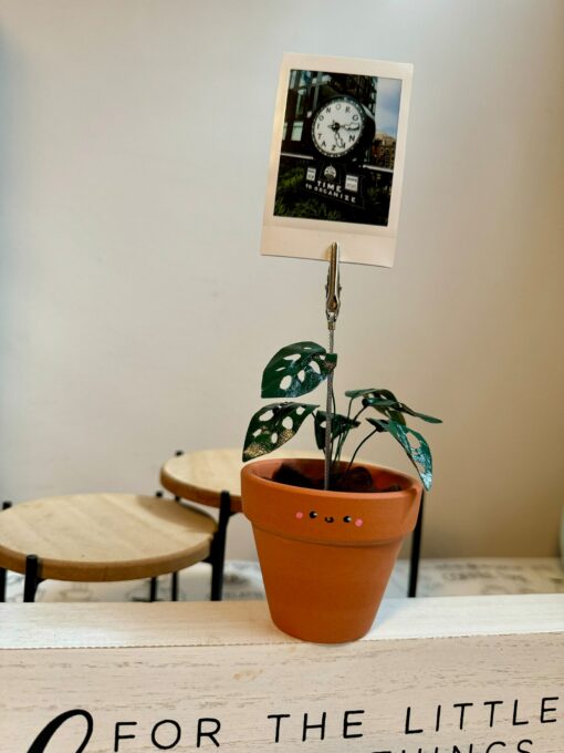 Monstera Adansonii Swiss Cheese Plant in a Handcrafted Photo Stand | 2" Potted Plant with Hand-Painted Leaves - Image 4