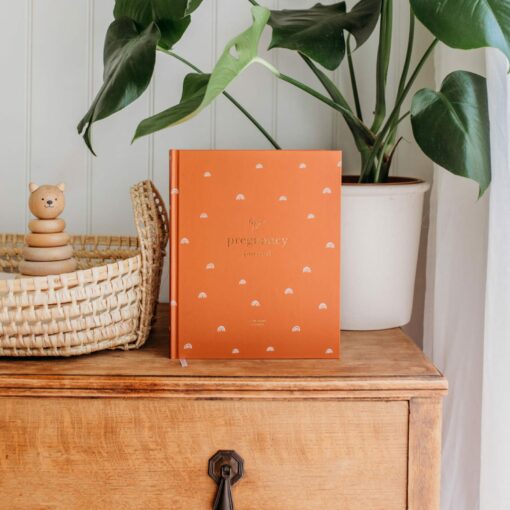 My Pregnancy Journal A Rainbow of Memories for Expectant Parents - Image 5