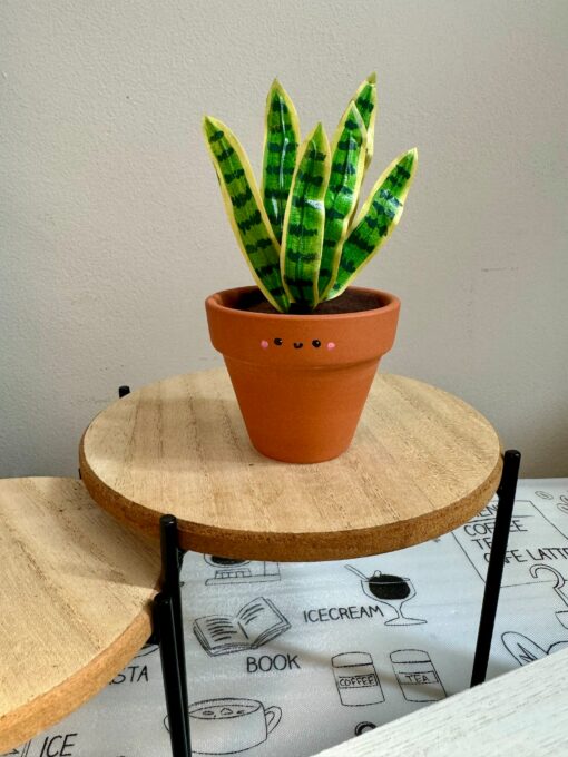 Dracaena Trifasciata 'Laurentii' The Unbreakable Snake Plant for Your Home Oasis - Image 2