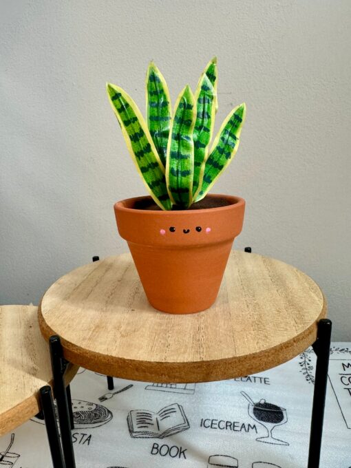 Dracaena Trifasciata 'Laurentii' The Unbreakable Snake Plant for Your Home Oasis - Image 4