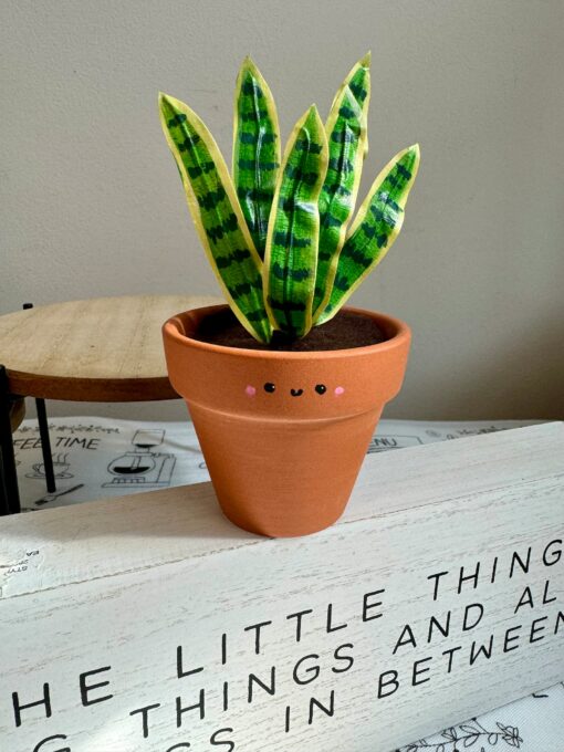 Dracaena Trifasciata 'Laurentii' The Unbreakable Snake Plant for Your Home Oasis - Image 3
