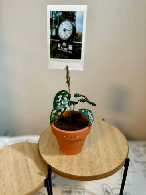 Monstera Adansonii Swiss Cheese Plant in a Handcrafted Photo Stand | 2" Potted Plant with Hand-Painted Leaves - Image 2
