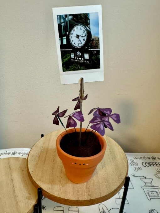 Oxalis Triangularis The Purple Shamrock Photo Stand - A Unique Handcrafted Plant Decor - Image 2