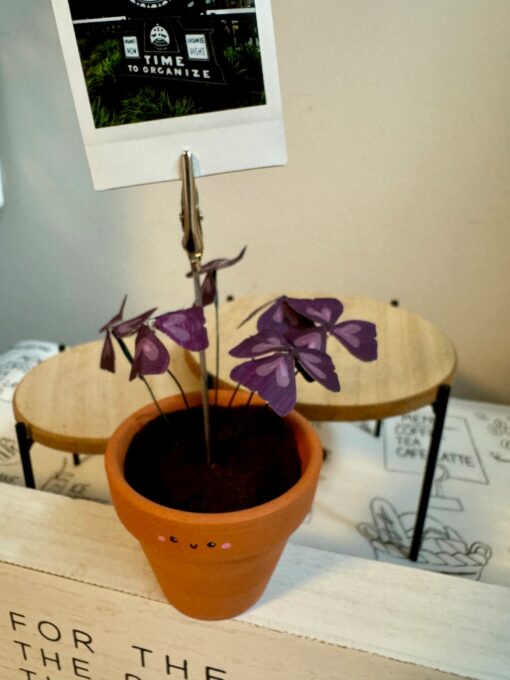 Oxalis Triangularis The Purple Shamrock Photo Stand - A Unique Handcrafted Plant Decor - Image 3