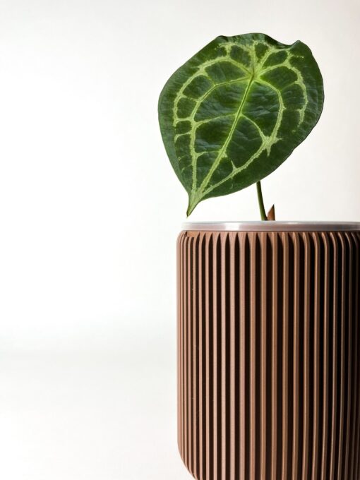 Gansal Modern Planter Pot Elevate Your Home Decor with Clear, Drainage-Enabled Pots for Indoor Plants - Image 4