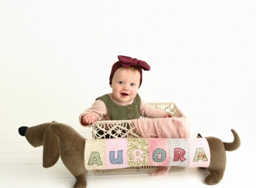Personalized Dachshund Plush Toy The Perfect Gift for Dog Lovers and Nursery Decor - Image 6