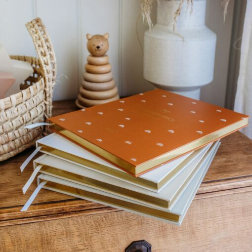 My Pregnancy Journal A Rainbow of Memories for Expectant Parents - Image 4