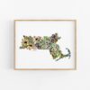 Massachusetts A Floral Tapestry of History and Beauty
