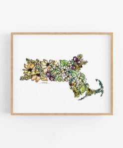 Massachusetts A Floral Tapestry of History and Beauty