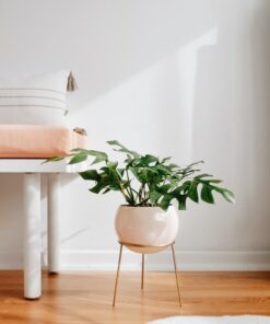 Exquisite Nude Pink and Brass Floor Planter Elevate Your Home's Ambiance