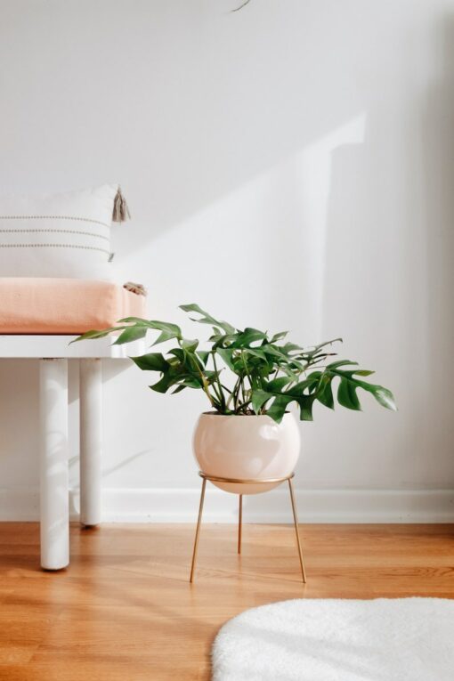 Exquisite Nude Pink and Brass Floor Planter Elevate Your Home's Ambiance