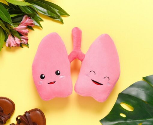 Anatomical Lung Plushie A Unique Gift for Medical Professionals and Students