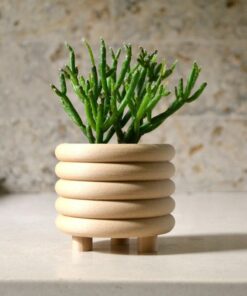 Mid-Century Modern Coiled Planter Elevate Your Indoor Oasis with Matte Sophistication