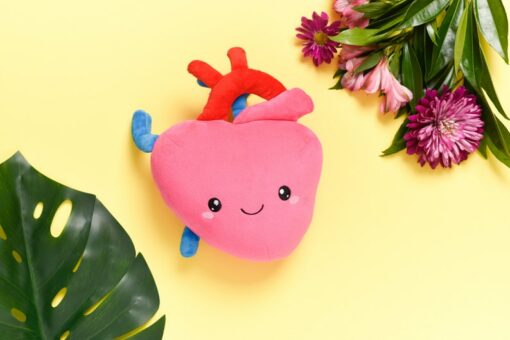 Heartfelt Plush A Symbol of Love and Resilience for Cardiology Professionals