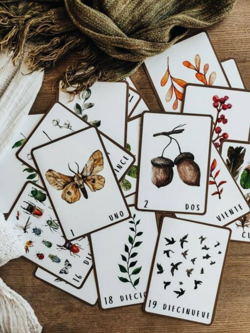 Woodland Wonders Spanish Number Flashcards for Early Learning
