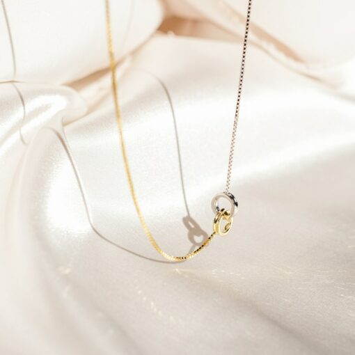 Interlocking Circles Necklace A Timeless Symbol of Unity and Love