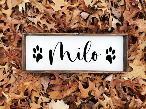 Personalized Pet Haven Custom Signs for Your Furry Friends