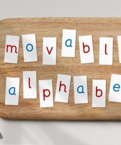 Montessori Movable Alphabet Empowering Literacy Through Hands-On Learning