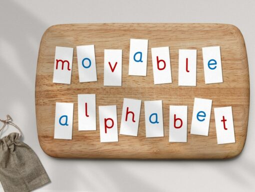 Montessori Movable Alphabet Empowering Literacy Through Hands-On Learning