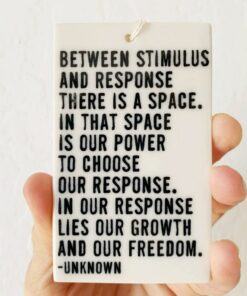Between Stimulus and Response A Ceramic Canvas for Daily Inspiration