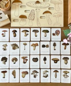 Montessori Mushroom Flashcards Unveil the Wonders of Nature for Early Learners