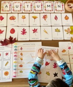 Autumnal Adventure Printable Fall Leaves Activity for Toddlers and Homeschoolers