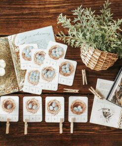 Nest and Eggs Count and Clip Cards Montessori-Inspired Learning for Nature-Loving Kids