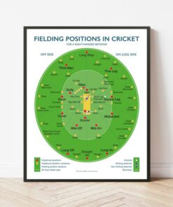 Master the Art of Fielding Elevate Your Cricket Skills with Our Comprehensive Guide