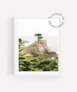 Mesmerizing Monterey Coastline Lone Cypress, Carmel-by-the-Sea Wall Art