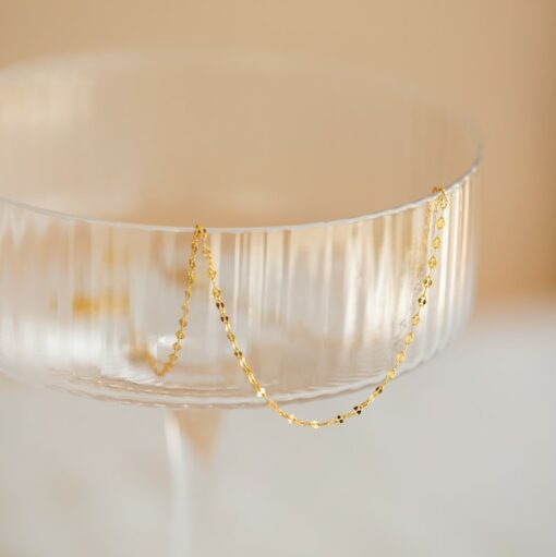 Caitlyn Minimalist's Dainty Mirror Chain Necklace Elevate Your Style with Grace and Simplicity