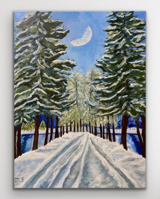 Hand-Painted Winter Wonderland Snowy Acrylic Masterpiece on Canvas, Adorn Your Abode with Enchanting Winter Scenery