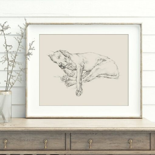 Ethan Harper's Masterful Black Lab Drawing A Timeless Wall Decor for Dog Lovers