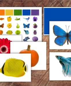 Toddler's Delight Color Sorting Cards for Preschool Learning and Sensory Exploration