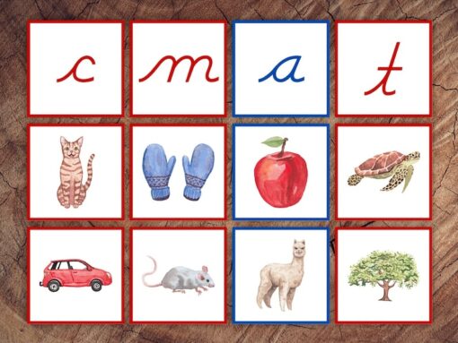 Cursive Letter Sounds Picture Sorting Cards Red Consonants, Blue Vowels