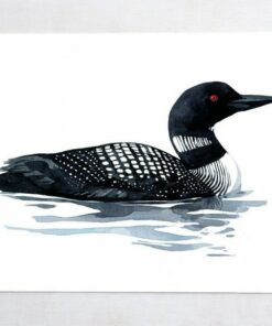 Loon Art Print Tranquil Watercolor Serenity for Coastal and Lakehouse Ambiance