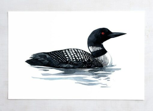 Loon Art Print Tranquil Watercolor Serenity for Coastal and Lakehouse Ambiance