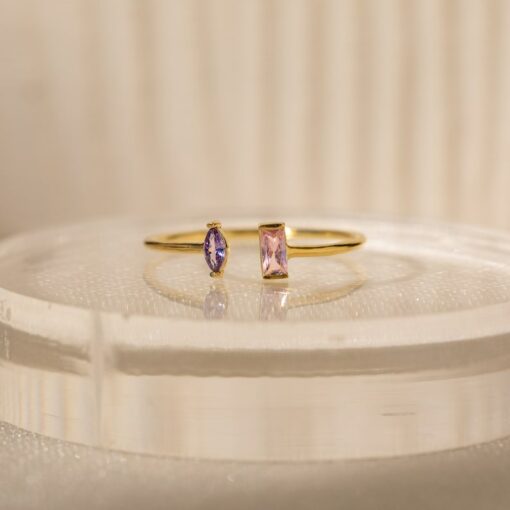Caitlyn Minimalist Duo Birthstone Ring Celebrate Your Bond with a Timeless Treasure