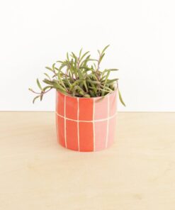 Enliven Your Abode Intricate Ceramic Planter for Indoor Greenery