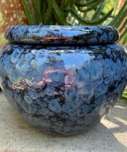 Modern Self-Watering African Violet Pot Elevate Your Window Garden with Style