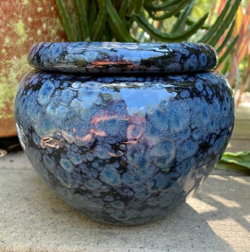 Modern Self-Watering African Violet Pot Elevate Your Window Garden with Style