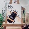 Nature's ABCs Digital Flashcards for Nature-Loving Learners