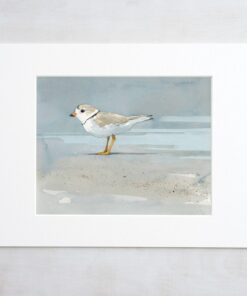 Coastal Serenity Piping Plover Beach Art Print for Tranquil Seashore Decor