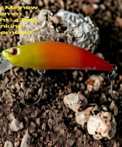 Captivating the Rainbow The ?Arc en Ciel? - An Enchanting Lure for Trout