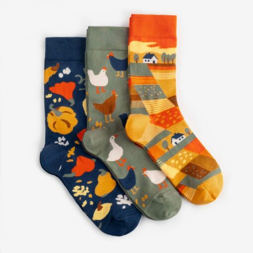 Harvest Hues Vibrant Socks for Every Occasion | Perfect Gift for Him or Her