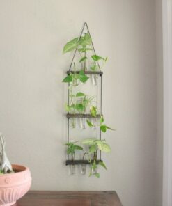 Hanging Ladder Propagation Station Elevate Your Plant Propagation with Style