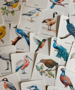Discover the World of Birds Printable Flashcards for Nature Enthusiasts