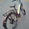 Wenge Wood Bike Fenders Elevate Your Commuter Bike with Handcrafted Elegance